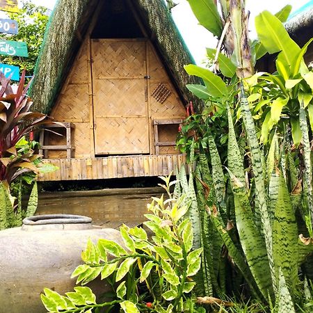 Dupas Luce Love Lodges Talipan Extérieur photo