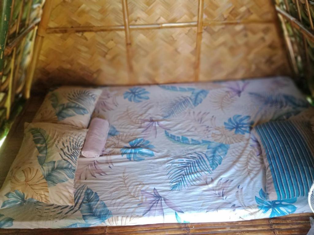 Dupas Luce Love Lodges Talipan Extérieur photo