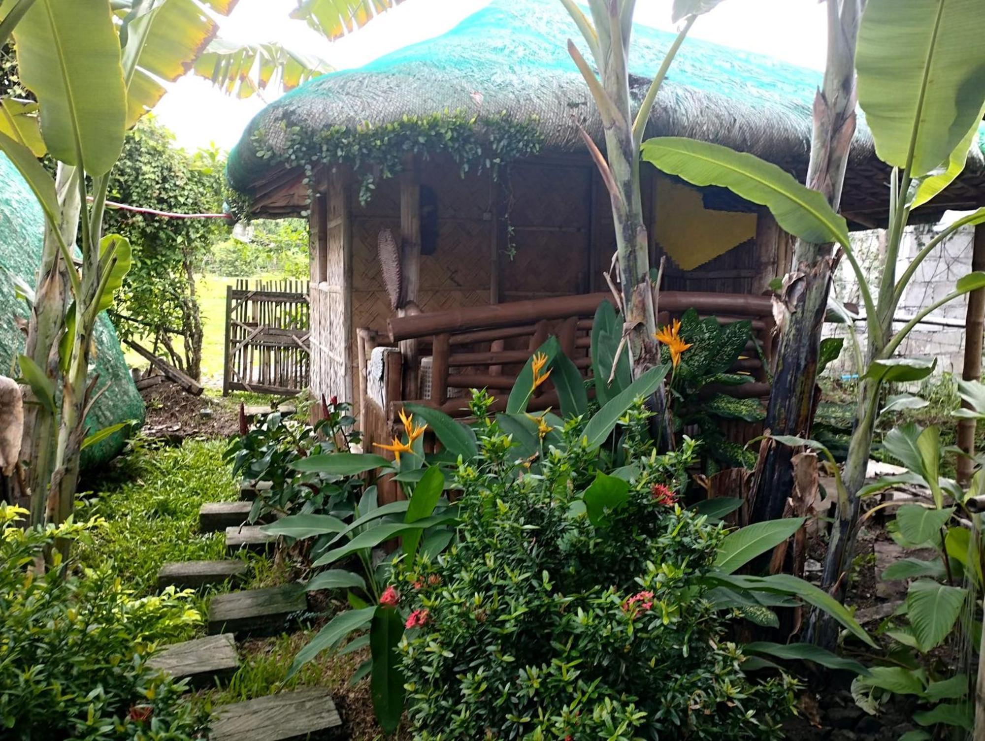 Dupas Luce Love Lodges Talipan Extérieur photo
