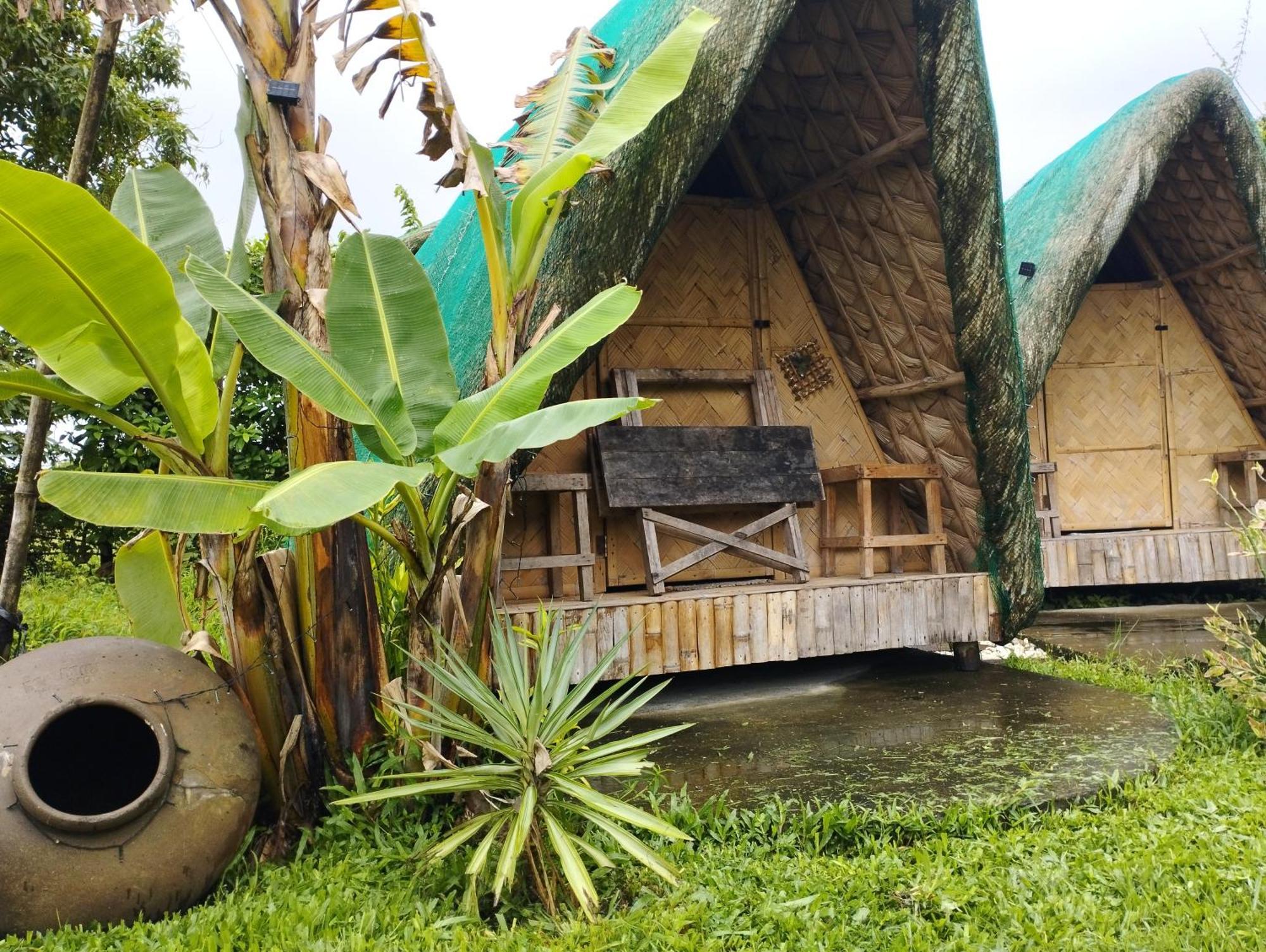 Dupas Luce Love Lodges Talipan Extérieur photo