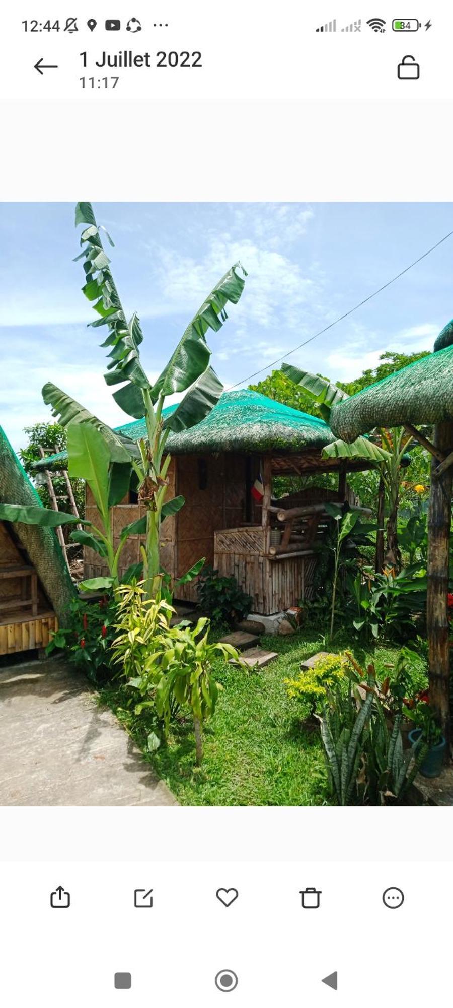 Dupas Luce Love Lodges Talipan Extérieur photo