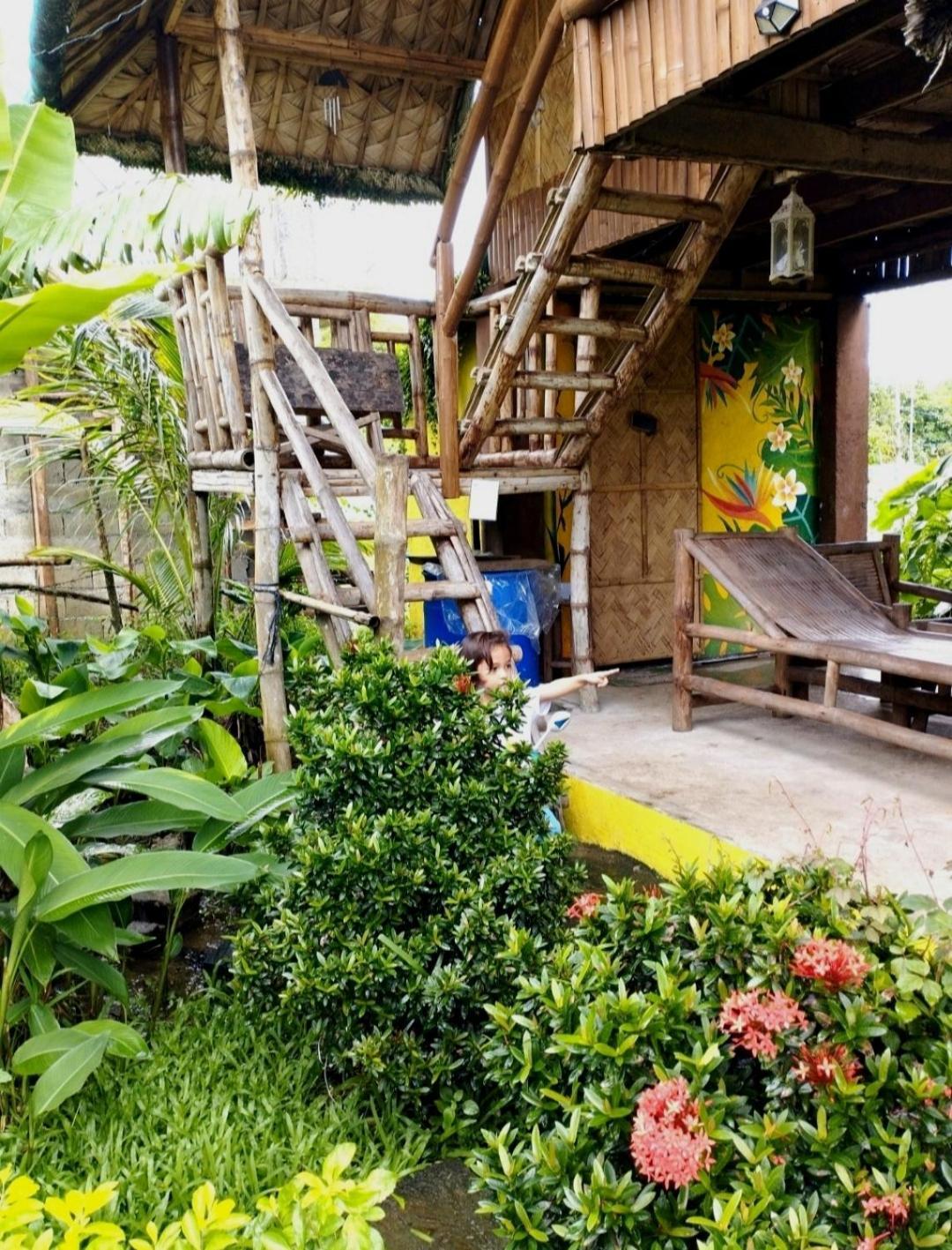 Dupas Luce Love Lodges Talipan Extérieur photo